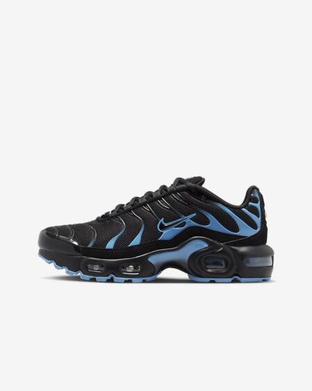 Nike Air Max Plus